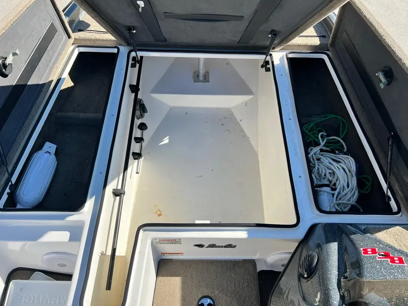 Slide: The Image of Bass Cat Margay 2019 - 8