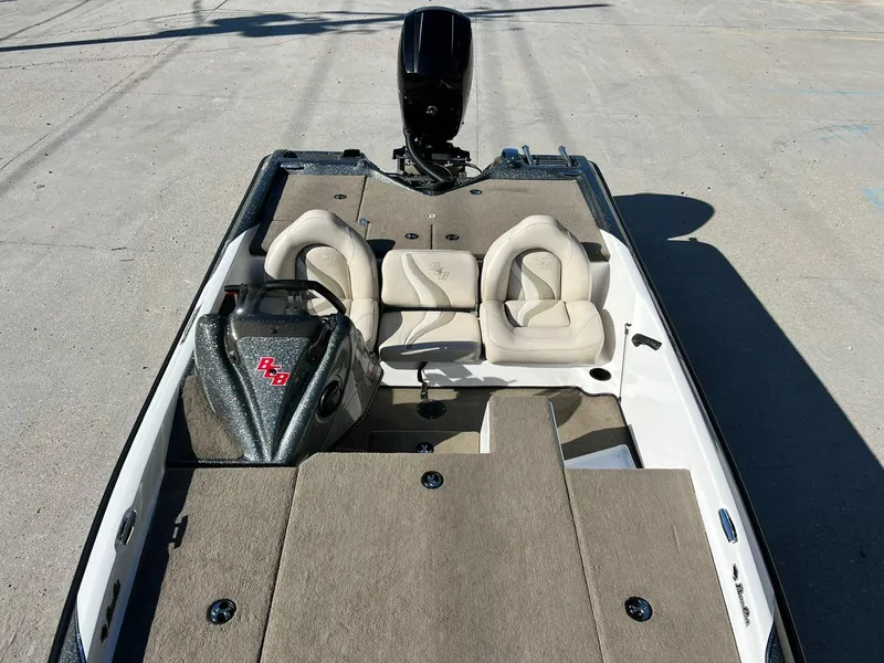 Slide: The Image of Bass Cat Margay 2019 - 9