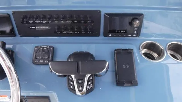 Slide: The Image of Cobia 265 CC 2025 - 20