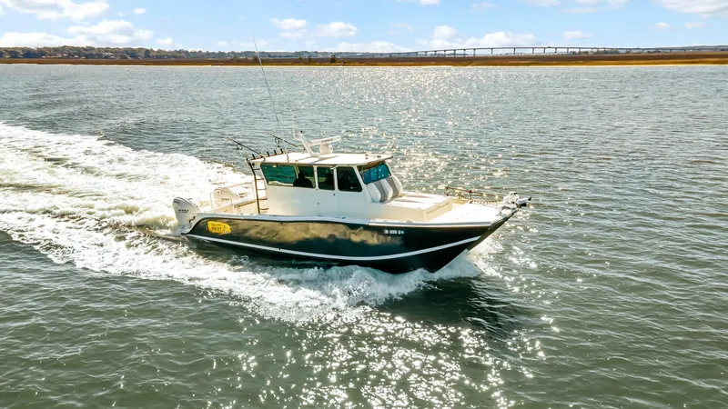 The Image of Custom Nerowalker 2024 boat cruising on a sunny day, with sparkling water and distant bridge. - 0