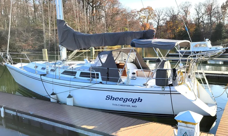 Slide: The Image of 1989 Catalina 42 sailboat docked at a marina, named "Sheegagh," with autumn trees in the background. - 20