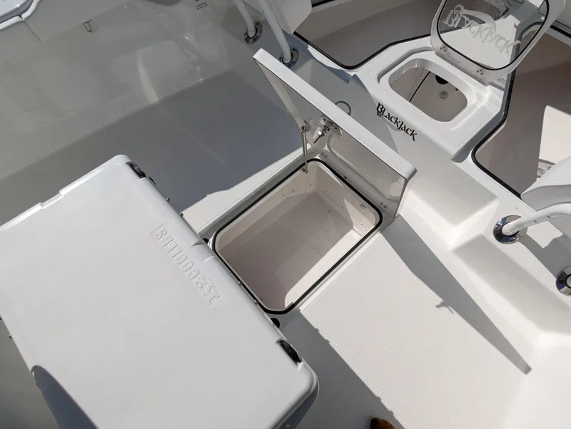Slide: The Image of Open storage compartment on 2025 BlackJack 256 Coastal boat deck. - 21