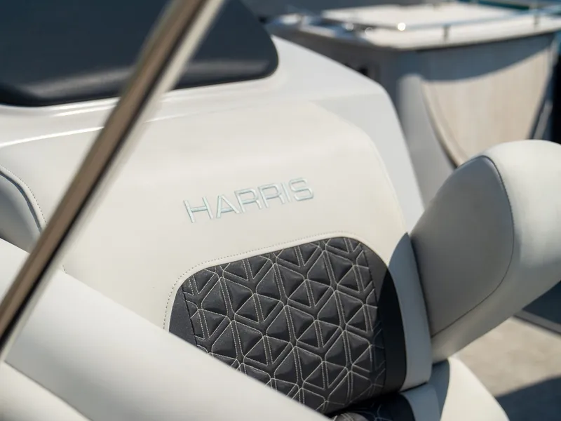 Slide: The Image of Harris Solstice 230 2025 - 59