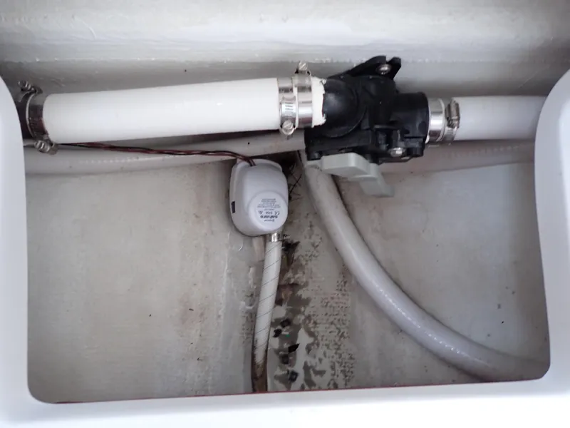 Slide: The Image of Statement 350 Open 2024 - 78