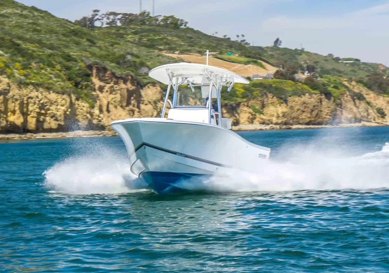 The Image of Regulator Marine 23 2019 - 0