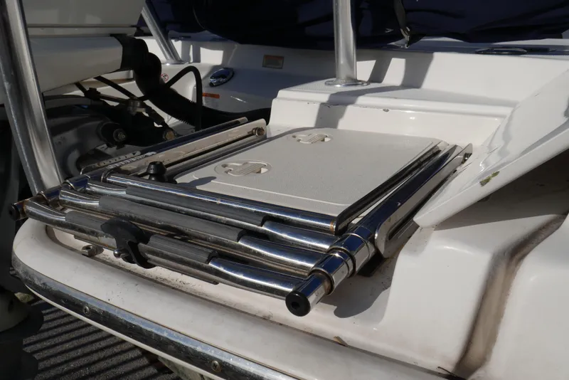 Slide: The Image of 2020 Boston Whaler - Swim ladder - 18