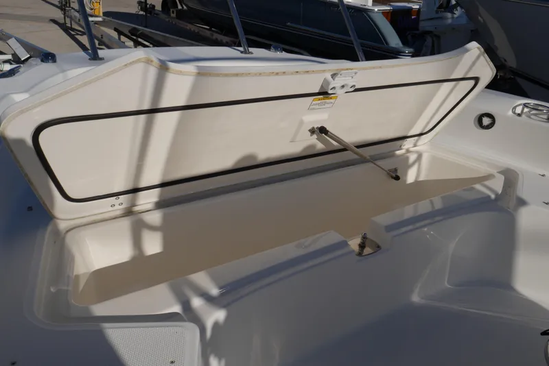 Slide: The Image of 2020 Boston Whaler - Storage - 21