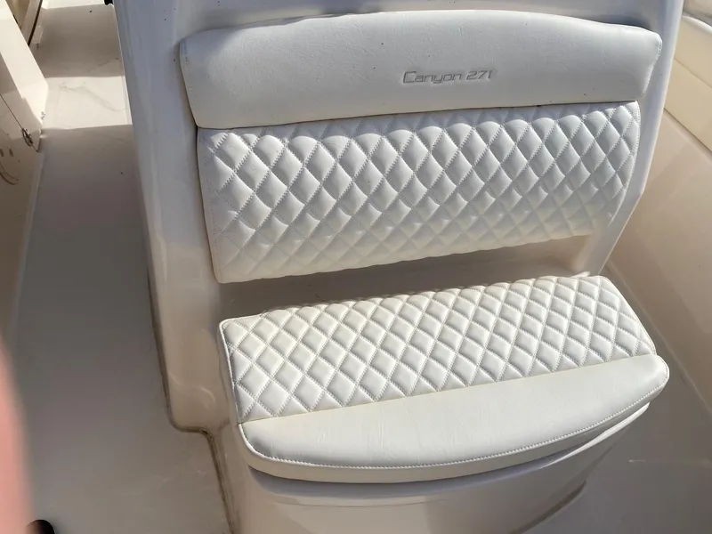 Slide: The Image of Grady-White Canyon 271 2025 - 8