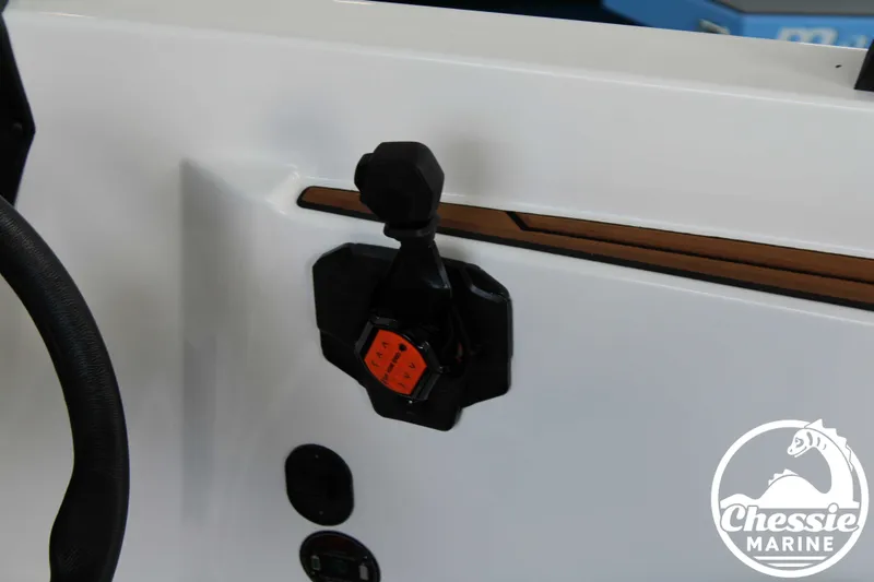 Slide: The Image of Axis A20 2025 - 8