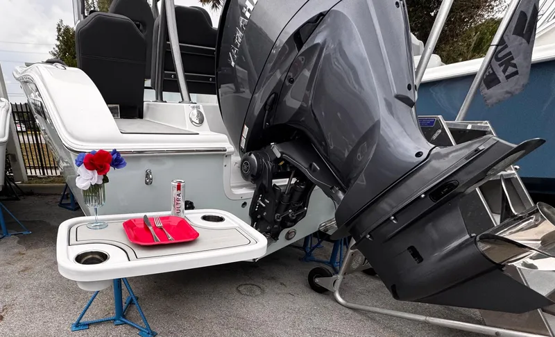 Slide: The Image of Sea Pro 245 FLX 2025 - 100