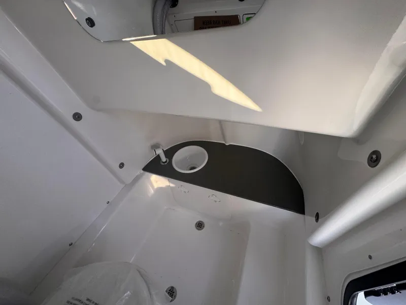 Slide: The Image of Sea Pro 245 FLX 2025 - 56