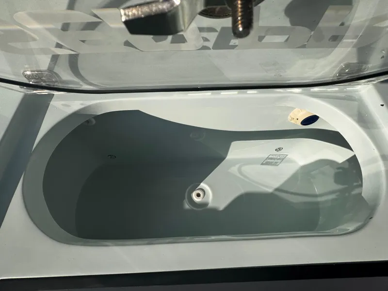 Slide: The Image of Sea Pro 245 FLX 2025 - 62