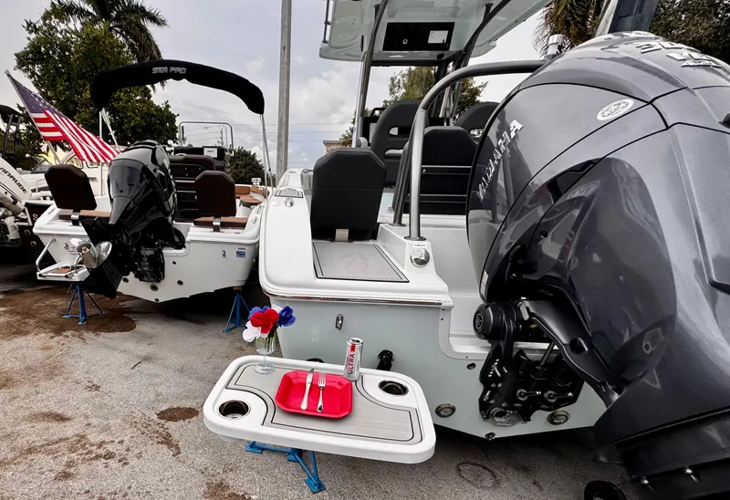 Slide: The Image of Sea Pro 245 FLX 2025 - 64