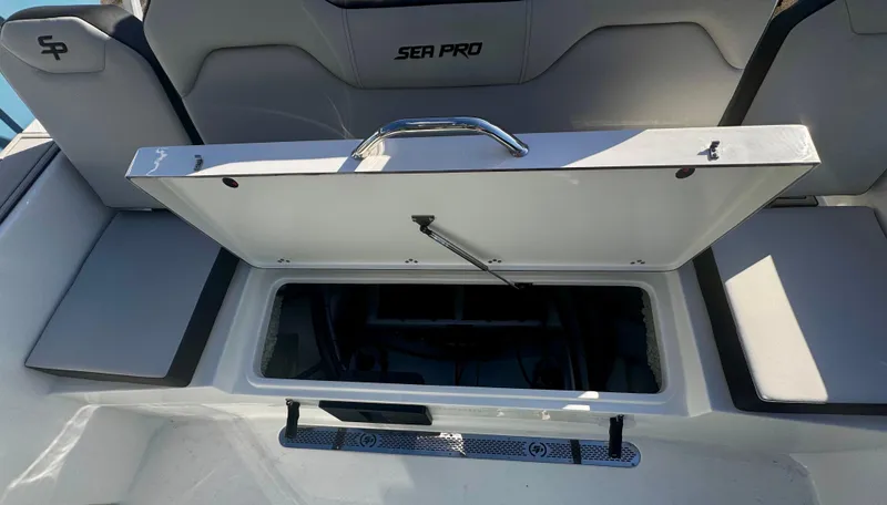 Slide: The Image of Sea Pro 245 FLX 2025 - 74