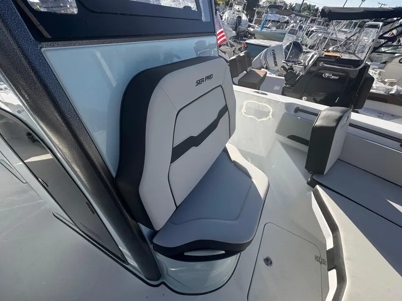 Slide: The Image of Sea Pro 245 FLX 2025 - 78