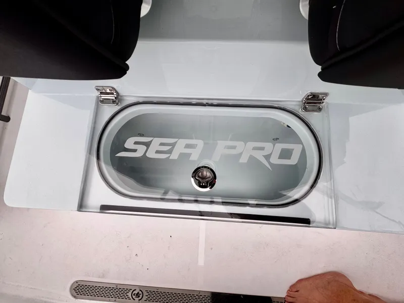 Slide: The Image of Sea Pro 245 FLX 2025 - 86