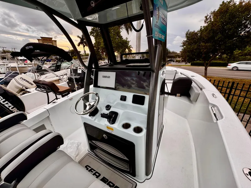 Slide: The Image of Sea Pro 245 FLX 2025 - 97