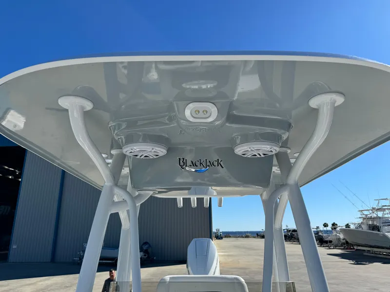 Slide: The Image of BlackJack 256 Coastal 2025 boat canopy with speakers and logo, docked under clear blue sky. - 25