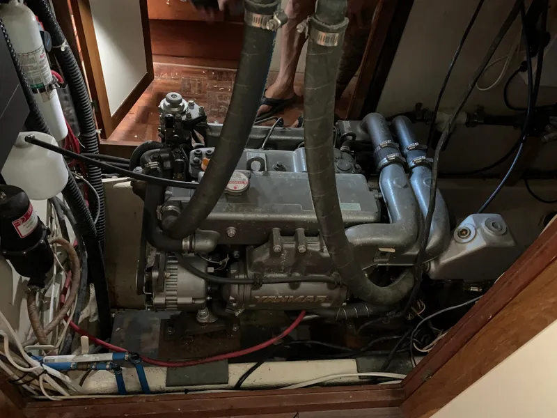 Slide: The Image of Hardin 45 1979 - 16