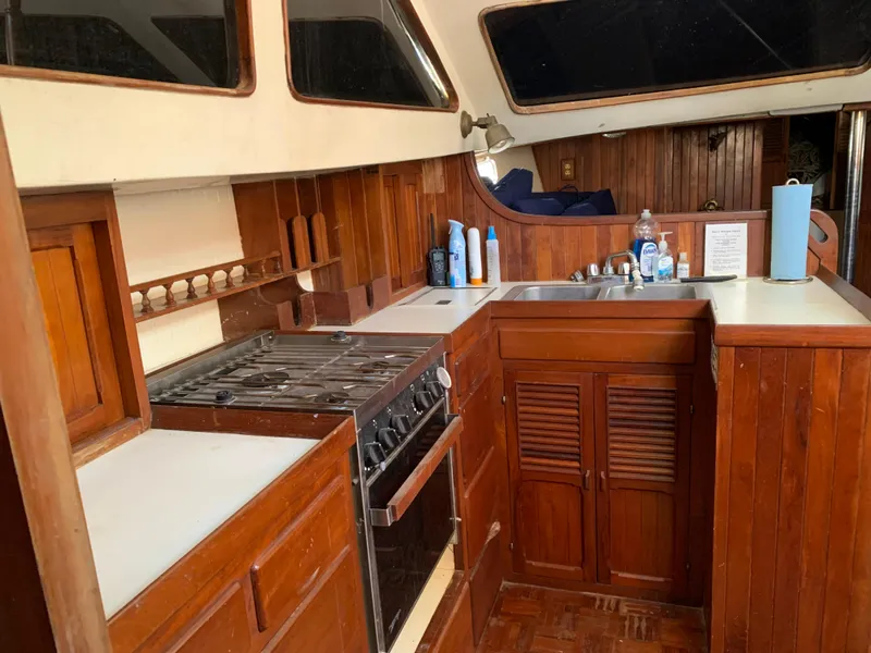 Slide: The Image of Hardin 45 1979 - 18