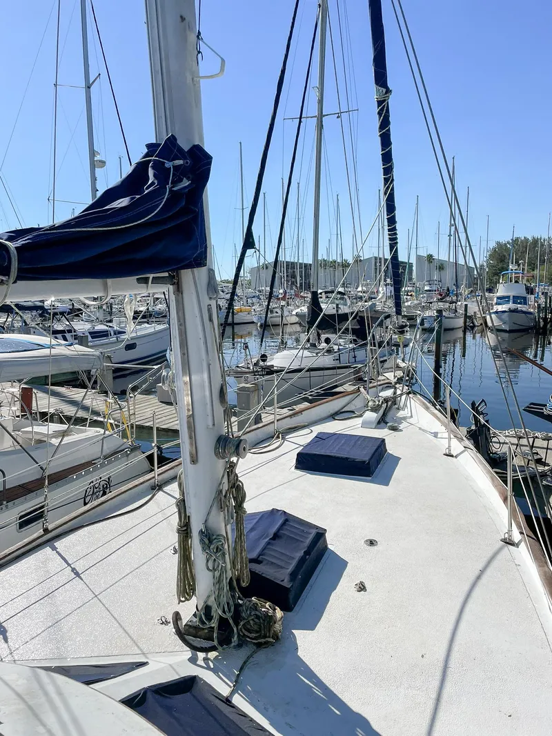 Slide: The Image of Hardin 45 1979 - 25