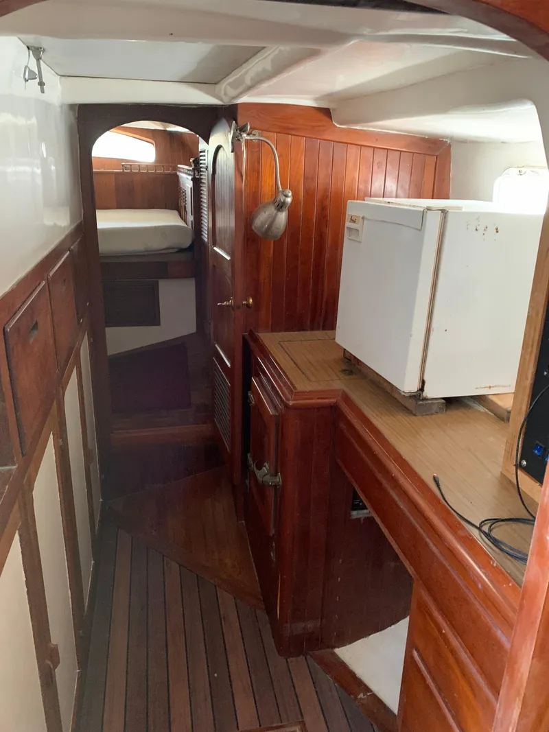 Slide: The Image of Hardin 45 1979 - 9