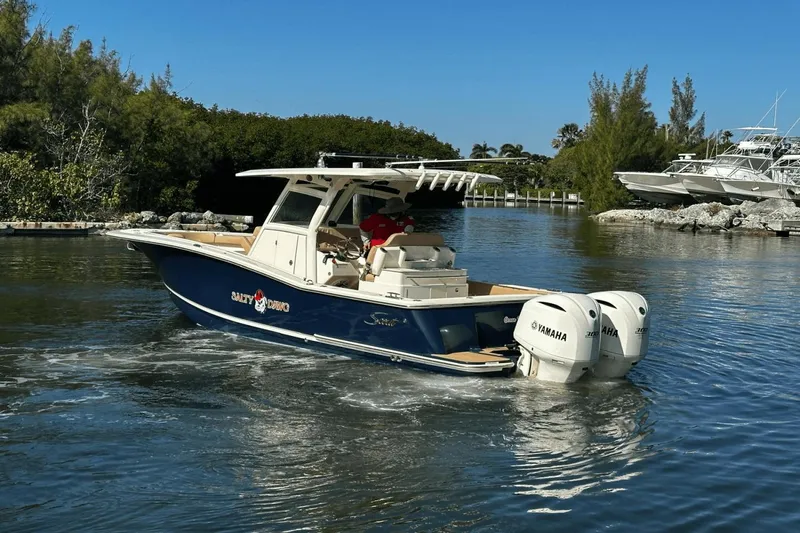 Slide: The Image of Scout 300 Lxf 2020 - 12