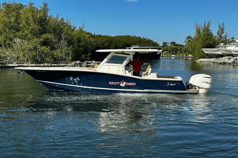 Slide: The Image of Scout 300 Lxf 2020 - 14