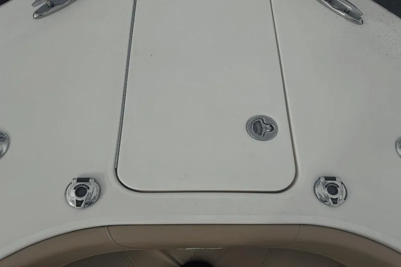 Slide: The Image of Scout 300 Lxf 2020 - 17