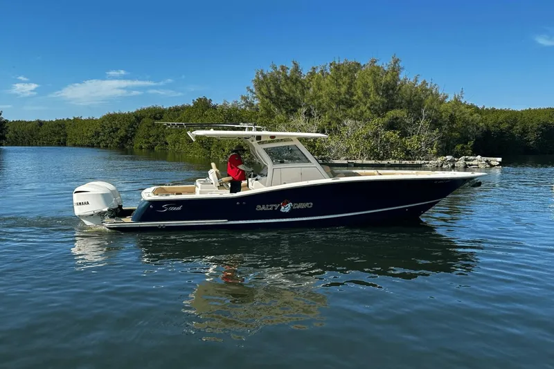 Slide: The Image of Scout 300 Lxf 2020 - 6