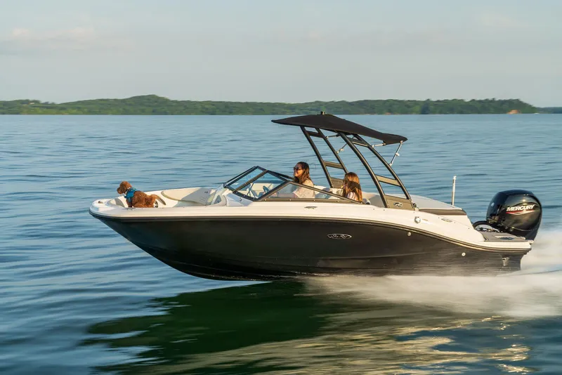 Slide: The Image of 2023 Sea Ray SPX 190 boat cruising on a lake with passengers and a dog. - 6