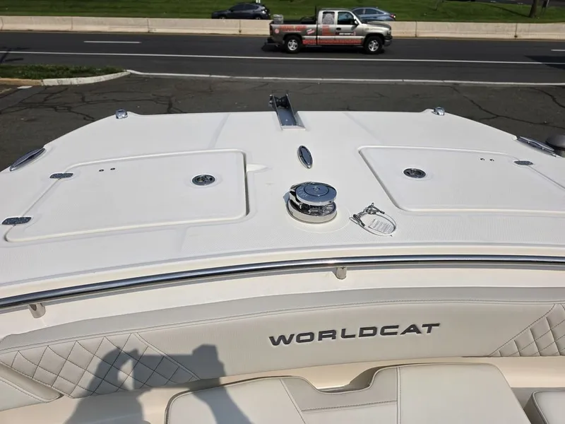 Slide: The Image of World Cat 265 CC-X 2027 - 10