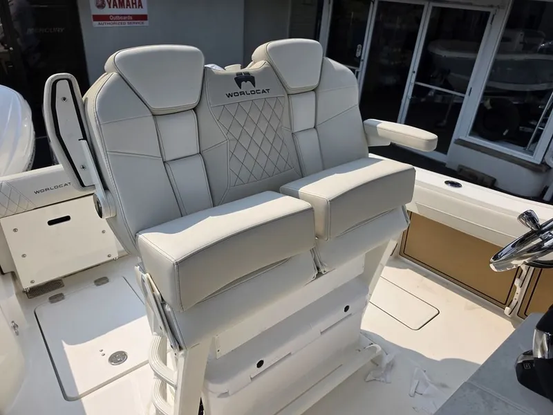 Slide: The Image of World Cat 265 CC-X 2027 - 7