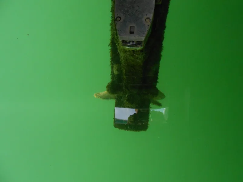 Slide: The Image of Underwater view of a 1999 Horizon houseboat propeller in green water. - 39