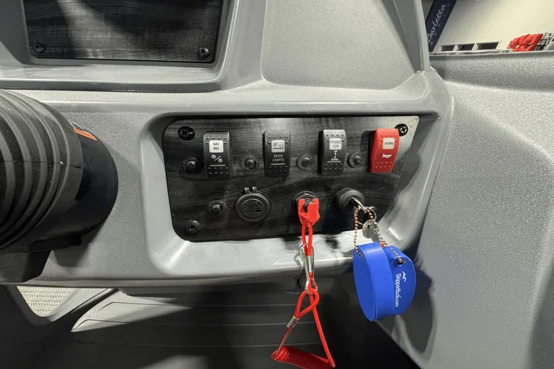 Slide: The Image of Sylvan A-22 2025 - 13