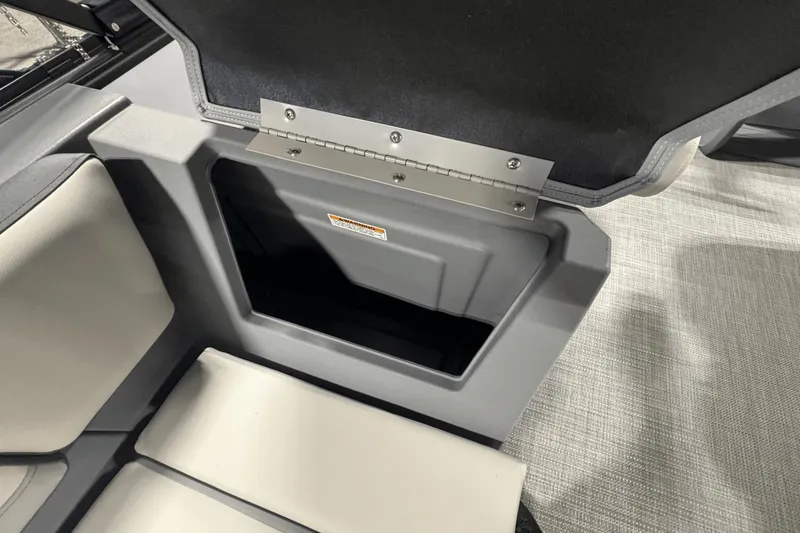 Slide: The Image of Sylvan A-22 2025 - 19