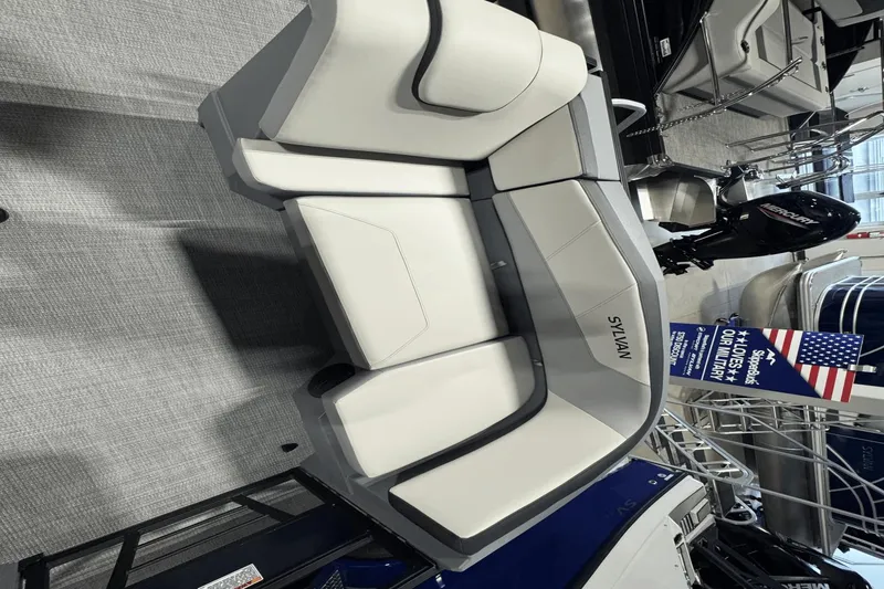 Slide: The Image of Sylvan A-22 2025 - 7