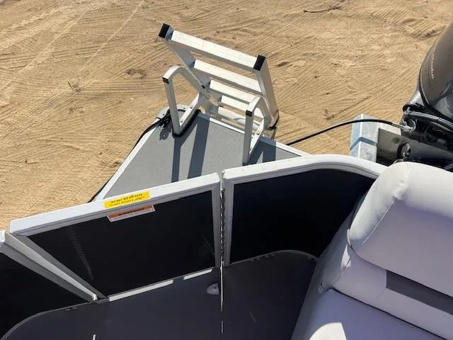 Slide: The Image of 2022 Godfrey Sweetwater 2086 F boat with ladder on sandy shore. - 3