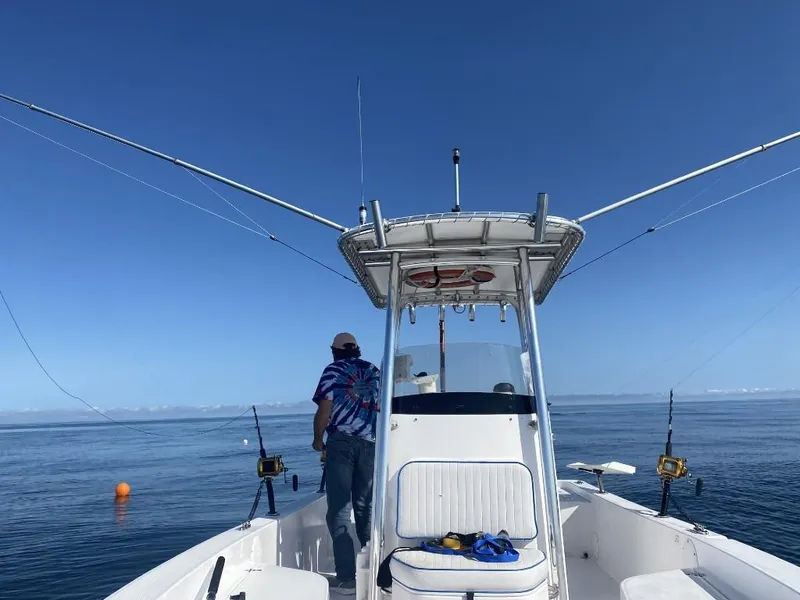 Slide: The Image of 2009 Pro-Line 23 Bay boat on open water, person fishing, clear blue sky. - 14