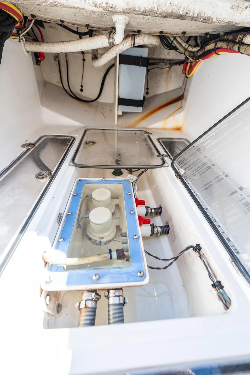 Slide: The Image of Bahama 34 2015 - 65