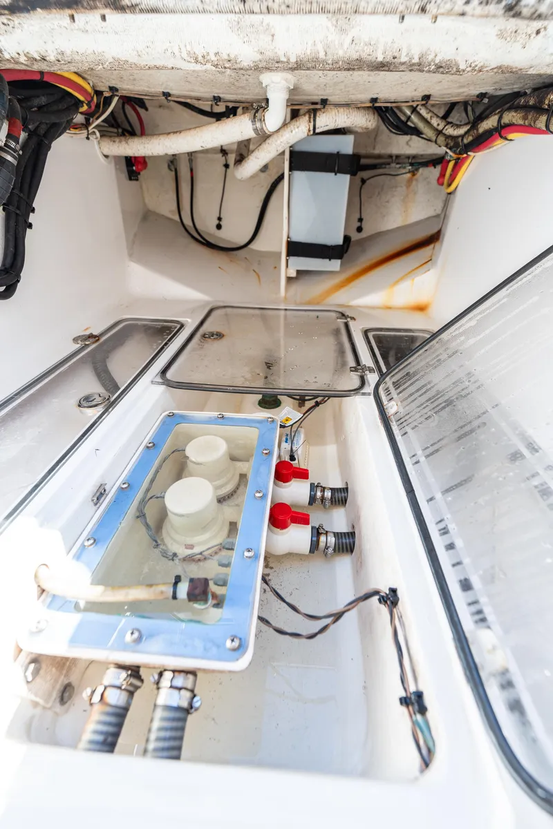 Slide: The Image of Bahama 34 2015 - 66