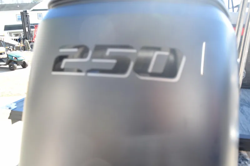 Slide: The Image of Close-up of "250" emblem on 2025 Qwest E-Class 824 RLS boat. - 4