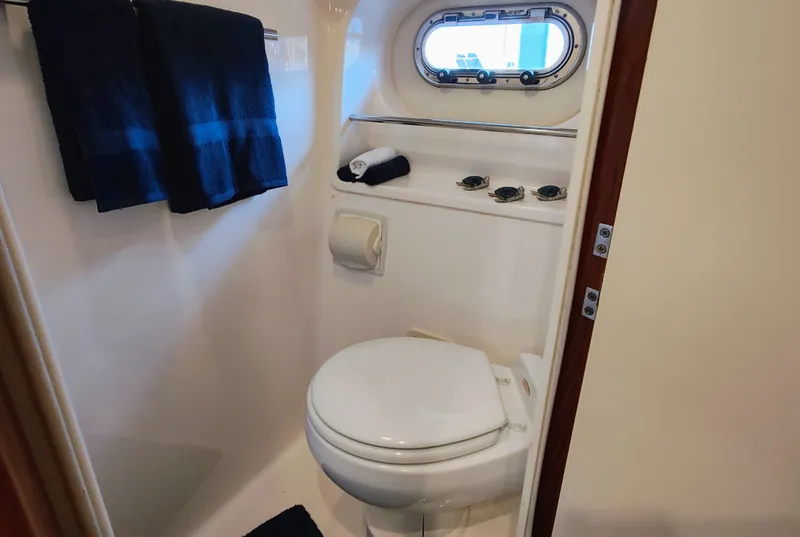 Slide: The Image of Guest Stateroom Day Head - 51