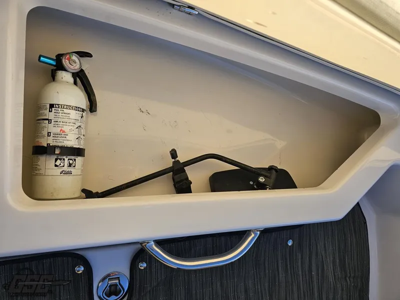 Slide: The Image of Scarab 165 ID 2018 - 56