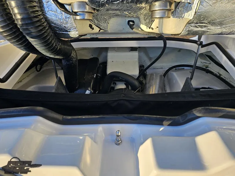 Slide: The Image of Scarab 165 ID 2018 - 64