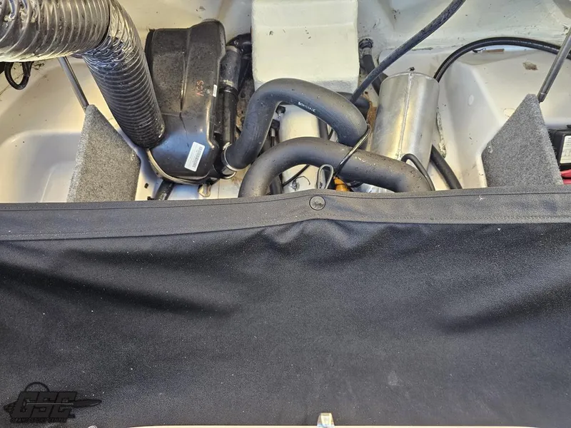 Slide: The Image of Scarab 165 ID 2018 - 66