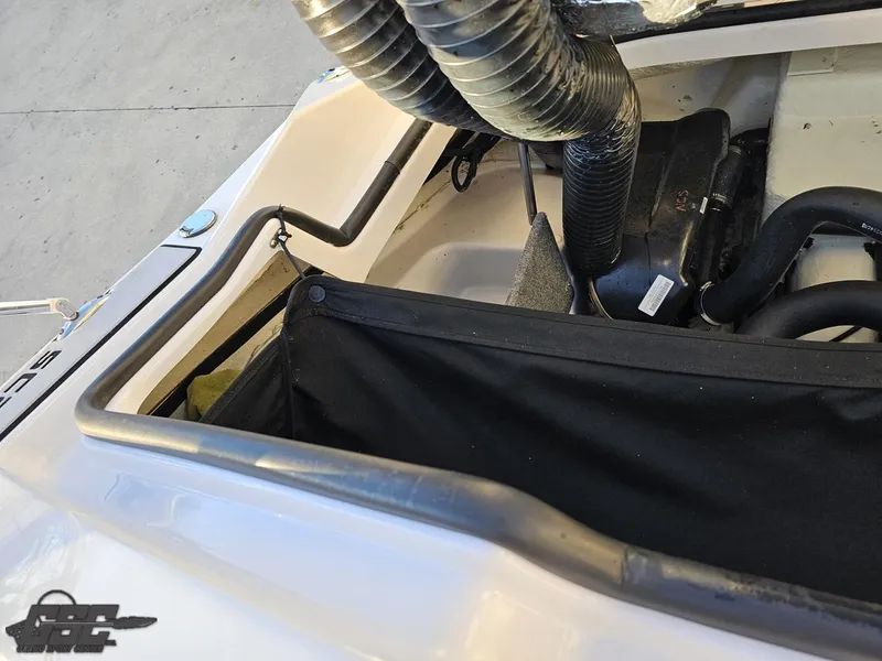 Slide: The Image of Scarab 165 ID 2018 - 67