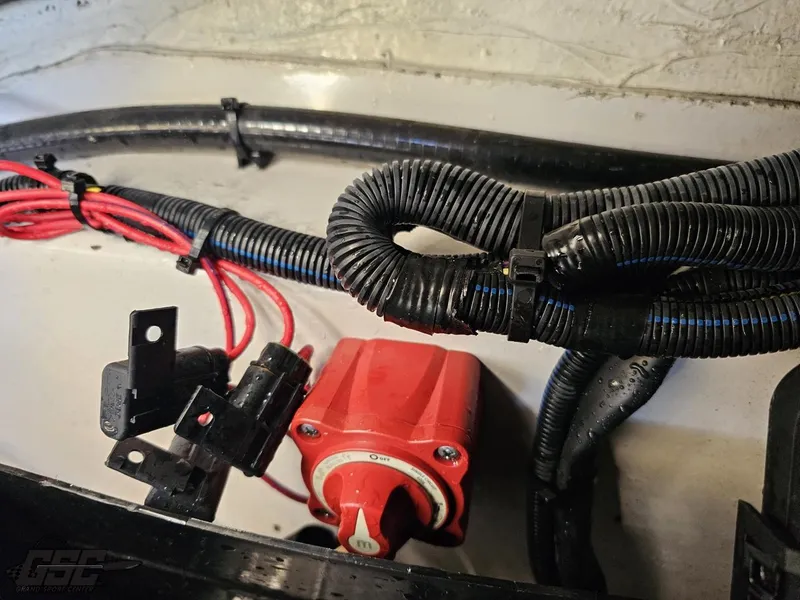 Slide: The Image of Scarab 165 ID 2018 - 69