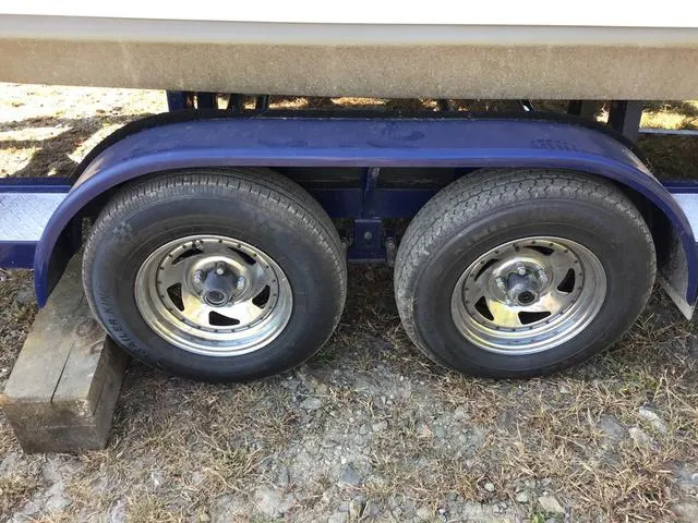 Slide: The Image of Tigé 21 I Limited 2004 - 3