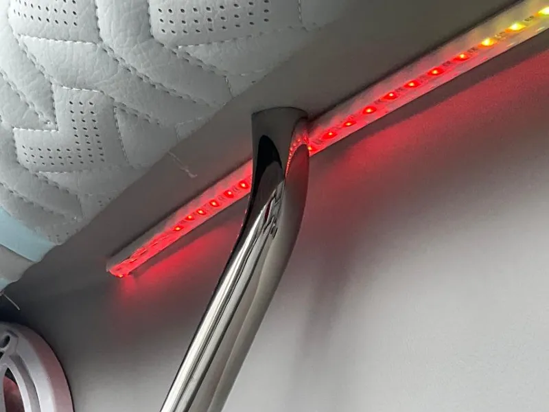 Slide: The Image of Regal LS9 Ultimate 2025 - 43